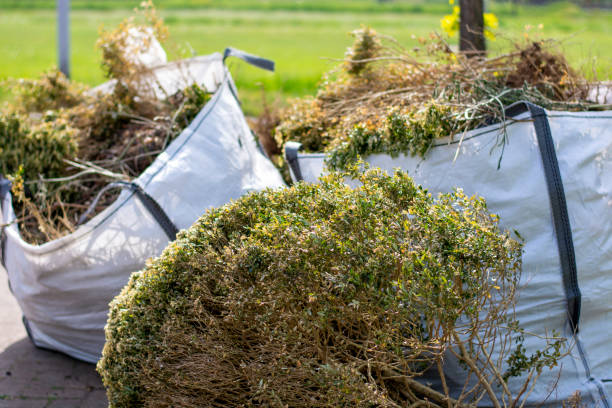 Best Dumpster Rental Services  in The Pinehills, MA